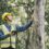 Benefits of Hiring an Arborist in Sydney’s Eastern Suburbs