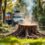How Much Does Stump Grinding Cost? A Complete Price Breakdown